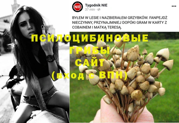 винт Вяземский