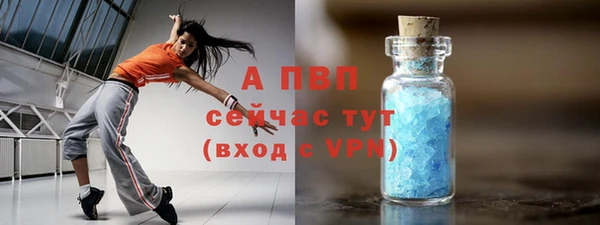 винт Вяземский