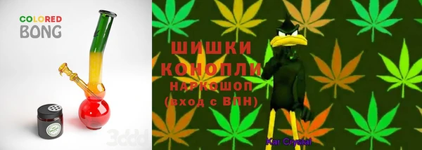 винт Вяземский