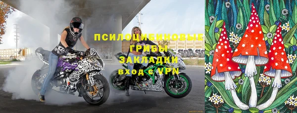 винт Вяземский