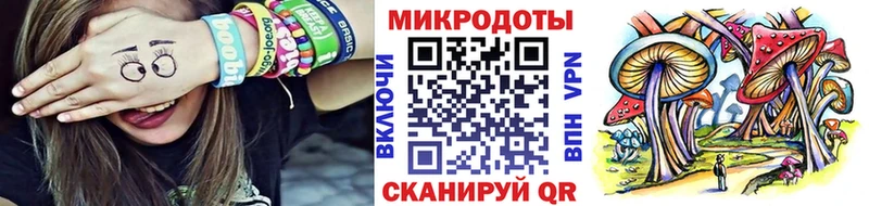 Псилоцибиновые грибы Psilocybine cubensis  Архангельск 