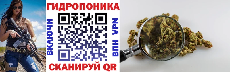 где найти наркотики  Архангельск  МАРИХУАНА гибрид 